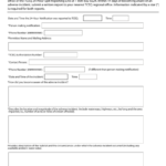 106 Incident Report Template Page 5 Free To Edit Download Print