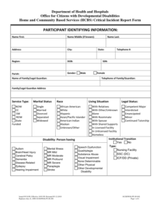 77 Incident Report Format For Office Page 4 Free To Edit Download