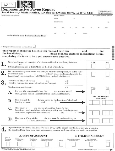 Appendix E Current Annual Accounting Form Improving The Social 
