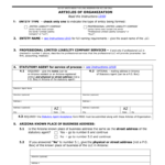 Az Article Of Organization Fill In Forms Fill Out Sign Online DocHub