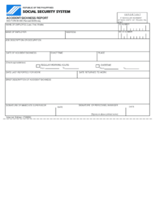 B 309 Form Sss Fill Online Printable Fillable Blank PdfFiller