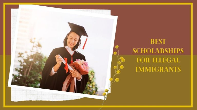 Best Scholarships For Illegal Immigrants 2022 HelpToStudy 2023