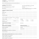 BI Form CGAF 001 REV 2 Download Printable PDF Or Fill Online