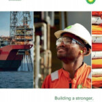 BP Annual Report and Form 20F 2013