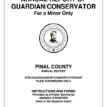 CA Annual Report Of Guardian Conservator Minor 2012 Complete Legal