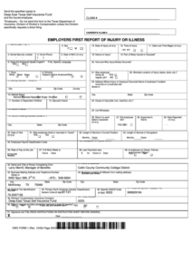 Ca Employer s First Report Of Injury Form Dwc 1 ReportForm