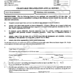 Charitable Organization Annual Report Form Minnesota Office Of The