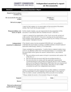 Charity Commission Report Template