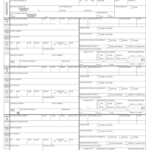 Chp 555 Fill Out Sign Online DocHub