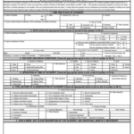 Civilian Accident Report 2020 2021 Fill And Sign Printable Template