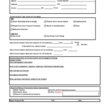 Critical Incident Form Fill Online Printable Fillable Blank