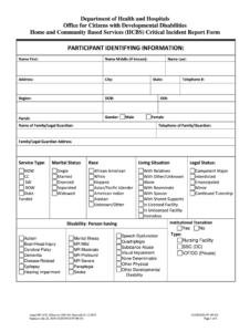 Critical Incident Form Fill Out And Sign Printable PDF Template SignNow