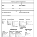 Critical Incident Form Louisiana Fill Out Sign Online DocHub