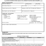 Critical Incident Report Form PDF Dhs Mn Fill Out And Sign Printable