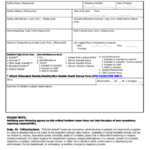 Critical Incident Reporting Form Printable Pdf Download