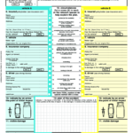 European Accident Form Fill Out And Sign Printable PDF Template SignNow