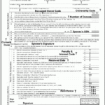 Federal Gift Tax Form 709 Gift Ftempo ED4