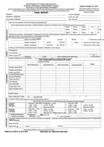 Fema Flood Insurance Application Financial Report