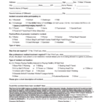 Fillable Incident injury Tracking Report Little League Baseball Form