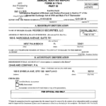 Fillable Online ANNUAL AUDITED REPORT FORM X 17A 5 PART Ill B 67321 Fax