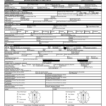 Fillable Online STATE OF GEORGIA TRAFFIC CRASH REPORT Fax Email Print