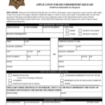 Fillable Police Report Template Fill Online Printable Fillable