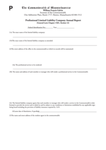 Fillable Professional Limited Liability Company Annual Report Form