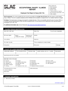 First Report Of Injury Form Fill Online Printable Fillable Blank