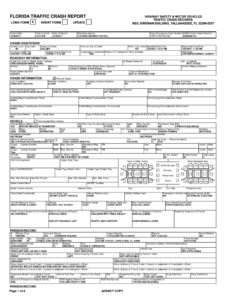 Florida Auto Accidet Report Fill Out Sign Online DocHub