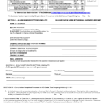 Form 1 Download Fillable PDF Or Fill Online Annual Report 2023