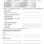 Form 1 Download Fillable PDF Or Fill Online Annual Report And Personal