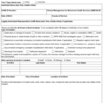 Form 3007 Download Fillable PDF Or Fill Online Critical Incident