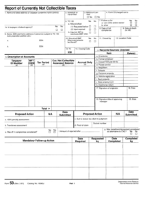 Form 53 Report Of Currently Not Collectible Taxes Internal Revenue