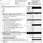 Form Ag990 Il Illinois Charitable Organization Annual Report 1999