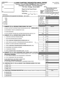 Form Ag990 Il Illinois Charitable Organization Annual Report