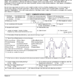 Form DOC03 133 Download Printable PDF Or Fill Online Accident Injury