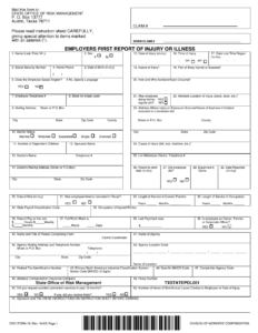 Form DWC1S Download Fillable PDF Or Fill Online Employers First Report