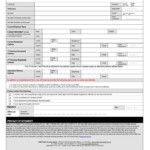 FREE 13 Credit Report Forms In PDF MS Word Fillable Form 2022