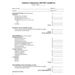 FREE 5 Financial Report Forms In PDF MS Word