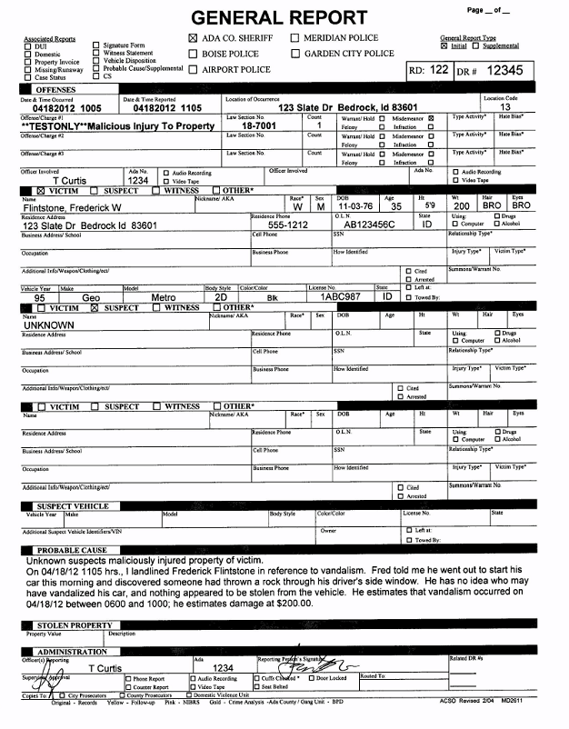 Free Printable Police Report Template Form GENERIC 