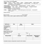 Ga Pch Incident Reporting Fill Online Printable Fillable Blank