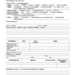 Georgia Facility Incident Report Fill Online Printable Fillable