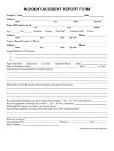 Get Our Sample Of Automobile Accident Report Form Template Incident