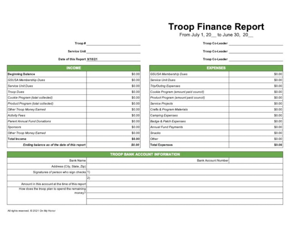 Girl Scout Financial Tracking Spreadsheets Financial Report Etsy