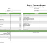 Girl Scout Financial Tracking Spreadsheets Financial Report Etsy