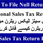 How To File Null Sale Tax Return New Single Sale Tax Return IRIS