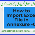 How To Import Excel File In Annexure C New Sale Tax Return Portal