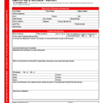 IL Employee s Incident Report Effingham City Fill And Sign