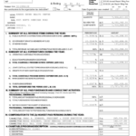 Illinois Charitable Organization Annual Report Form Printable Pdf Download