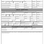INCIDENT RECORD FORM DIDM Philippine National Police